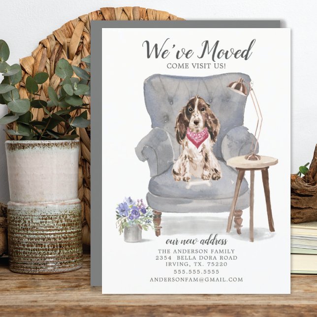 Brown Cocker Spaniel Dog | Moving Announcement (Creator Uploaded)