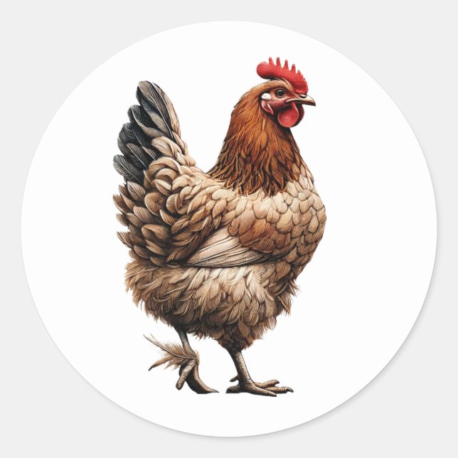 Brown Country Chicken Farm Barnyard  Classic Round Sticker (Front)