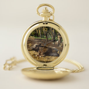 Brown Cow Bring On The Hay, Pocket Watch