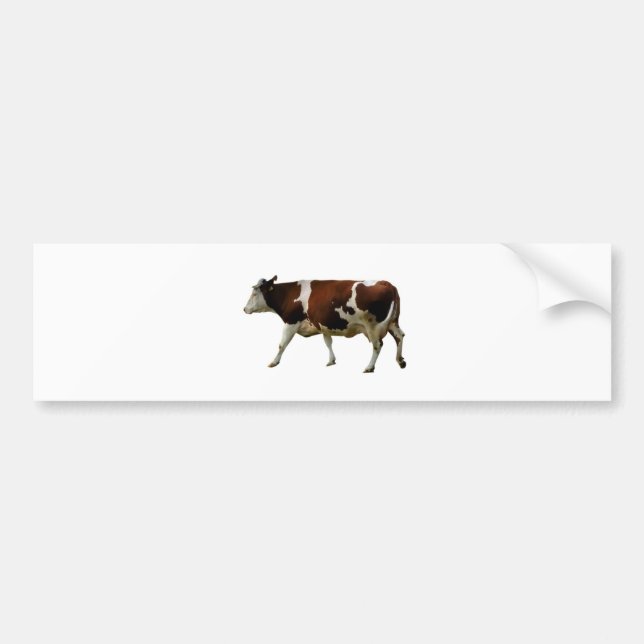 Brown Cow Bumper Sticker (Front)