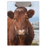 Brown Cow Clipboard