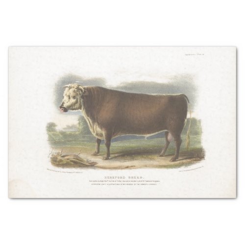 Brown Cow Ephemera Decoupage Vintage Farm Tissue P Tissue Paper