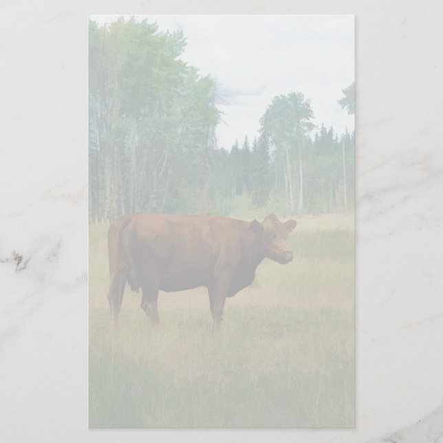 Brown Cow on a Horse and Cattle Ranch Stationery (Front)