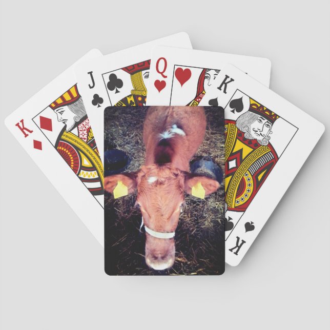 Brown cow poker cards (Back)
