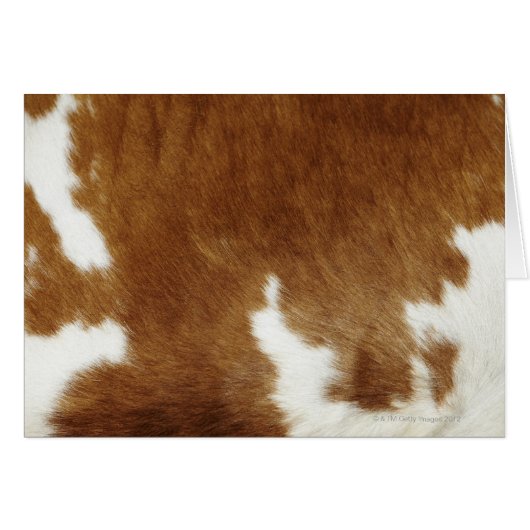 Brown Cowhide Print Cards (Front Horizontal)