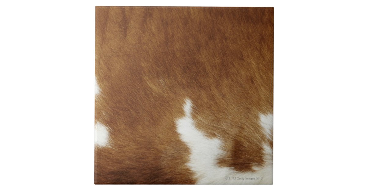 Brown Cowhide Print Ceramic Tile Zazzle