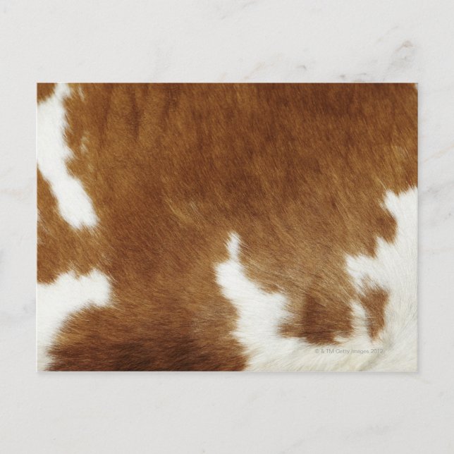 Brown Cowhide Print Postcard (Front)