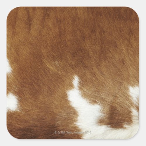 Brown Cowhide Print Square Sticker