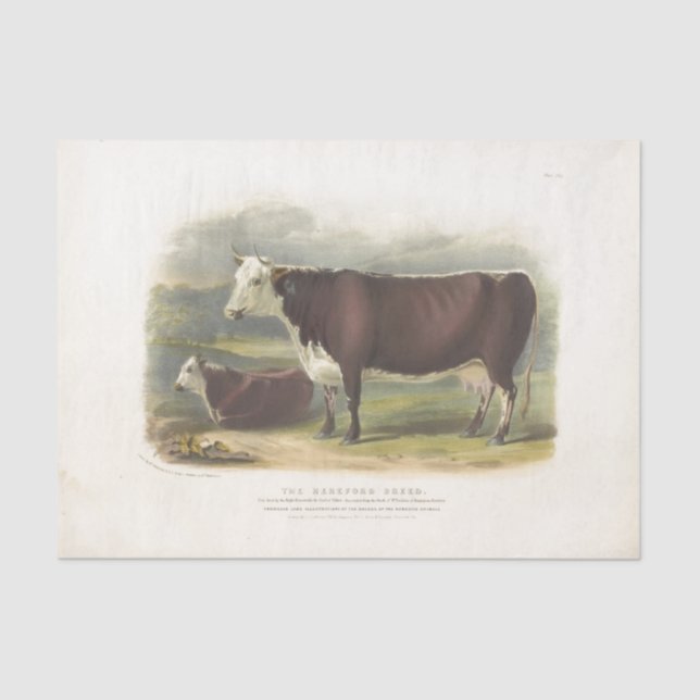 Brown Cows Ephemera Decoupage Vintage Farm Tissue Paper (Front)
