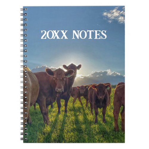 Brown Cows in Field Yearly Notes Notebook
