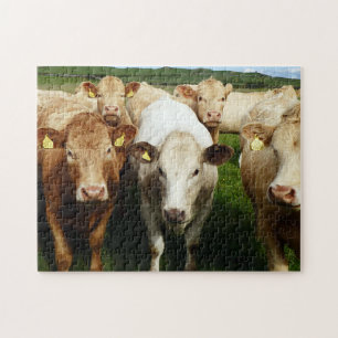 Brown cows Puzzle