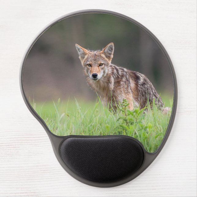 Brown Coyote, Canadian Animal Photography Gel Mouse Pad (Front)