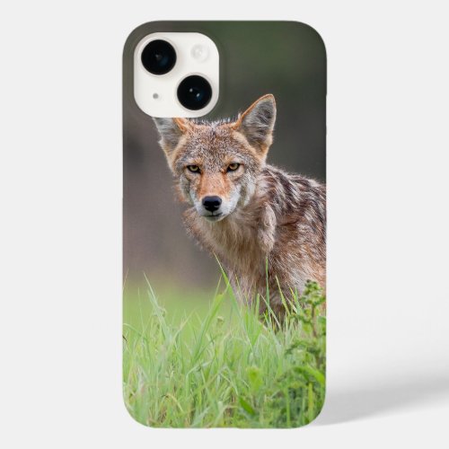 Brown Coyote Canadian Wildlife Photography Case_Mate iPhone 14 Case