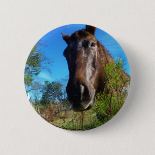 Brown & Cream Colored Horse blue sky Button