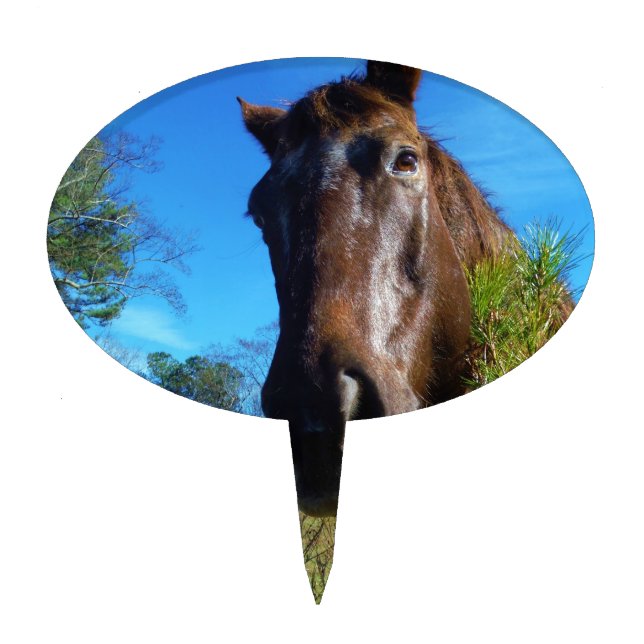 Brown & Cream Colored Horse blue sky Cake Topper (Front)