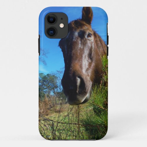 Brown  Cream Colored Horse blue sky iPhone 11 Case