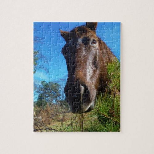 Brown  Cream Colored Horse blue sky Jigsaw Puzzle