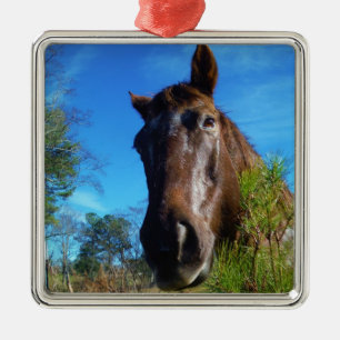 Brown & Cream Colored Horse blue sky Metal Ornament