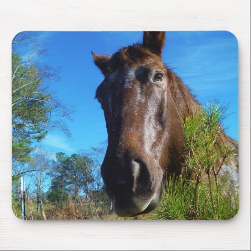 Brown  Cream Colored Horse blue sky Mouse Pad