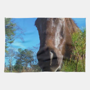 Brown & Cream Colored Horse blue sky Towel