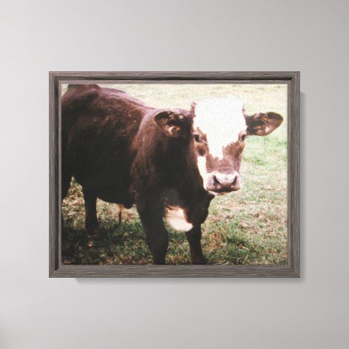 Brown Cream Cow Canvas Print