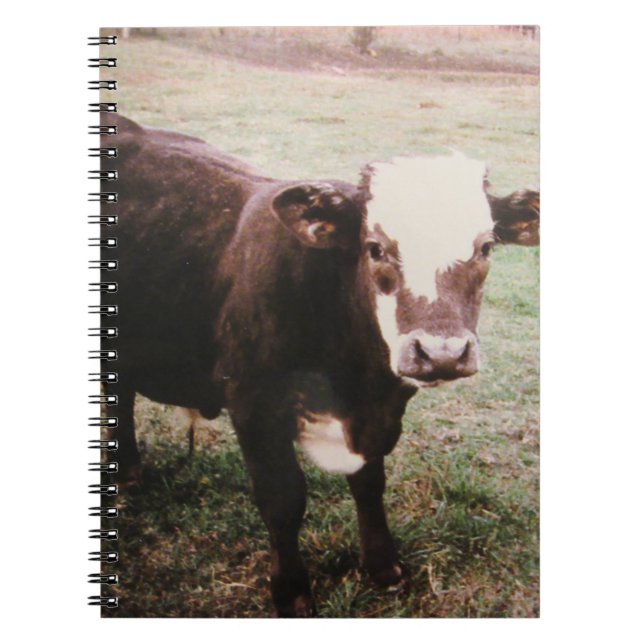 Brown Cream Cow Notebook (Front)