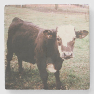 Brown Cream Cow Stone Coaster