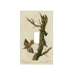 Brown Creeper, Pygmy Nuthatch from Audubon's Birds Light Switch Cover