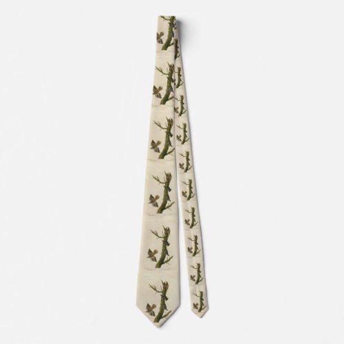 Brown Creeper Pygmy Nuthatch from Audubons Birds Neck Tie