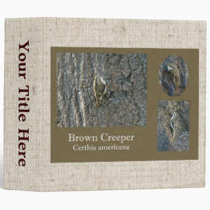 Brown Creeper Songbird Coordinating Items Binder