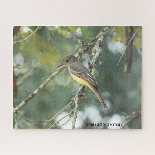 Brown Crested Flycatcher bird lovers Jigsaw Puzzle