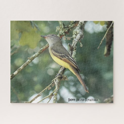 Brown Crested Flycatcher bird lovers Jigsaw Puzzle