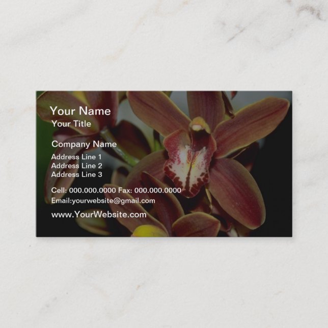 Brown Cymbidium flowers Business Card (Front)