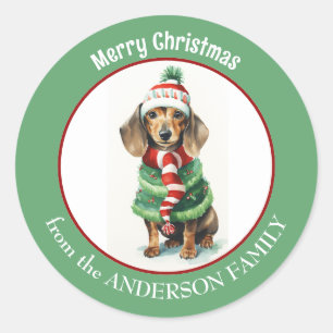 Brown Dachshund Dog in Winter Clothes Christmas Classic Round Sticker