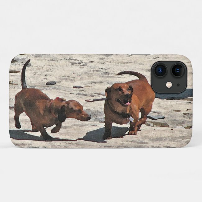 Brown Dachshund Dogs iPhone 11 Case