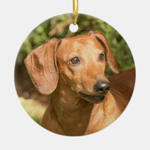 Brown Dachshund Doxie Dog Ceramic Ornament