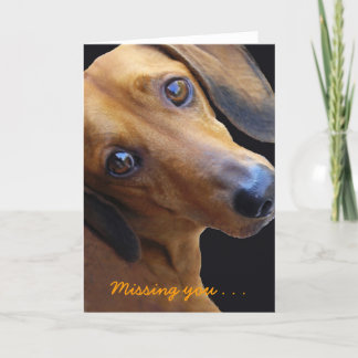 Brown Dachshund, Missing you . . .Greeting Card