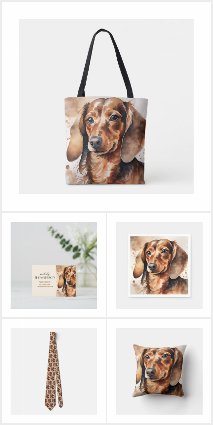 Brown dachshund portrait 
