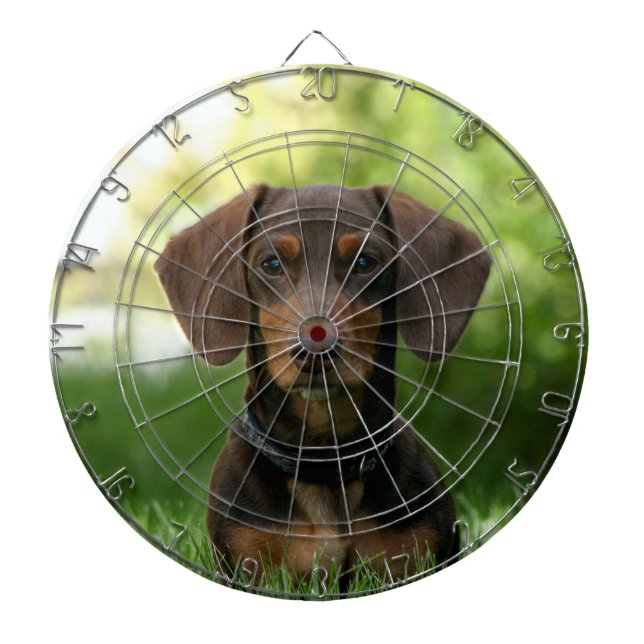 Brown Dachshund Puppy Dart Board (Front)