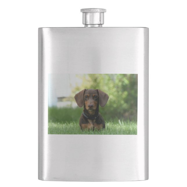 Brown Dachshund Puppy Flask (Front)