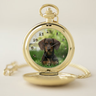 Brown Dachshund Puppy Pocket Watch