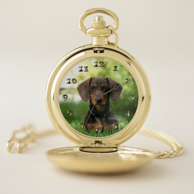 Brown Dachshund Puppy Pocket Watch (Inside)