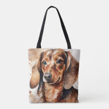 Brown Dachshund 