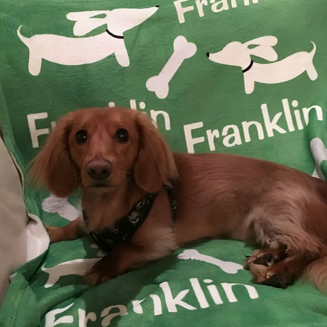 Brown Dachshund Wiener Dog Custom Blanket (Dachshund blanket - personalized wiener dog gift )