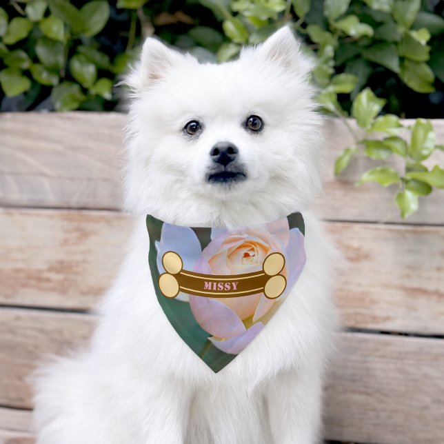 Brown Dog Bone Pink Rose Name Pet Bandana Collar (Dog)