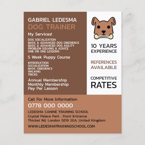 Brown Dog Dog Trainer Advertising Flyer