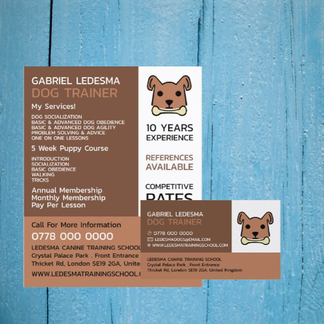 Brown Dog, Dog Trainer Advertising Flyer (Creator Uploaded)