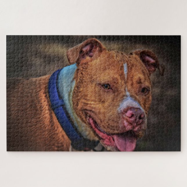 Brown Dog Photo  Jigsaw Puzzle (Horizontal)