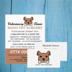 Brown Dog, Veterinarian, Veterinary Service Flyer