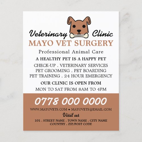 Brown Dog Veterinarian Veterinary Service Flyer